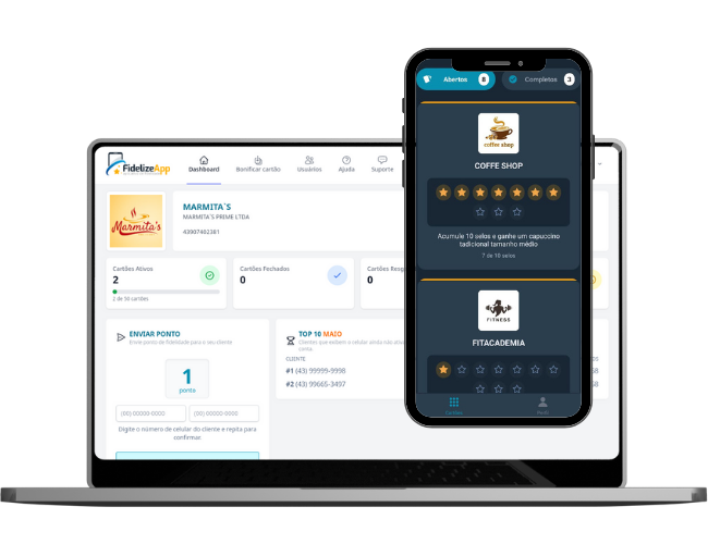 Print do sistema web